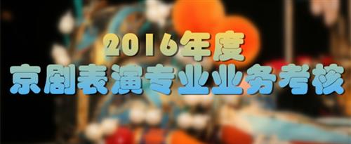 操欧美女国家京剧院2016年度京剧表演专业业务考...